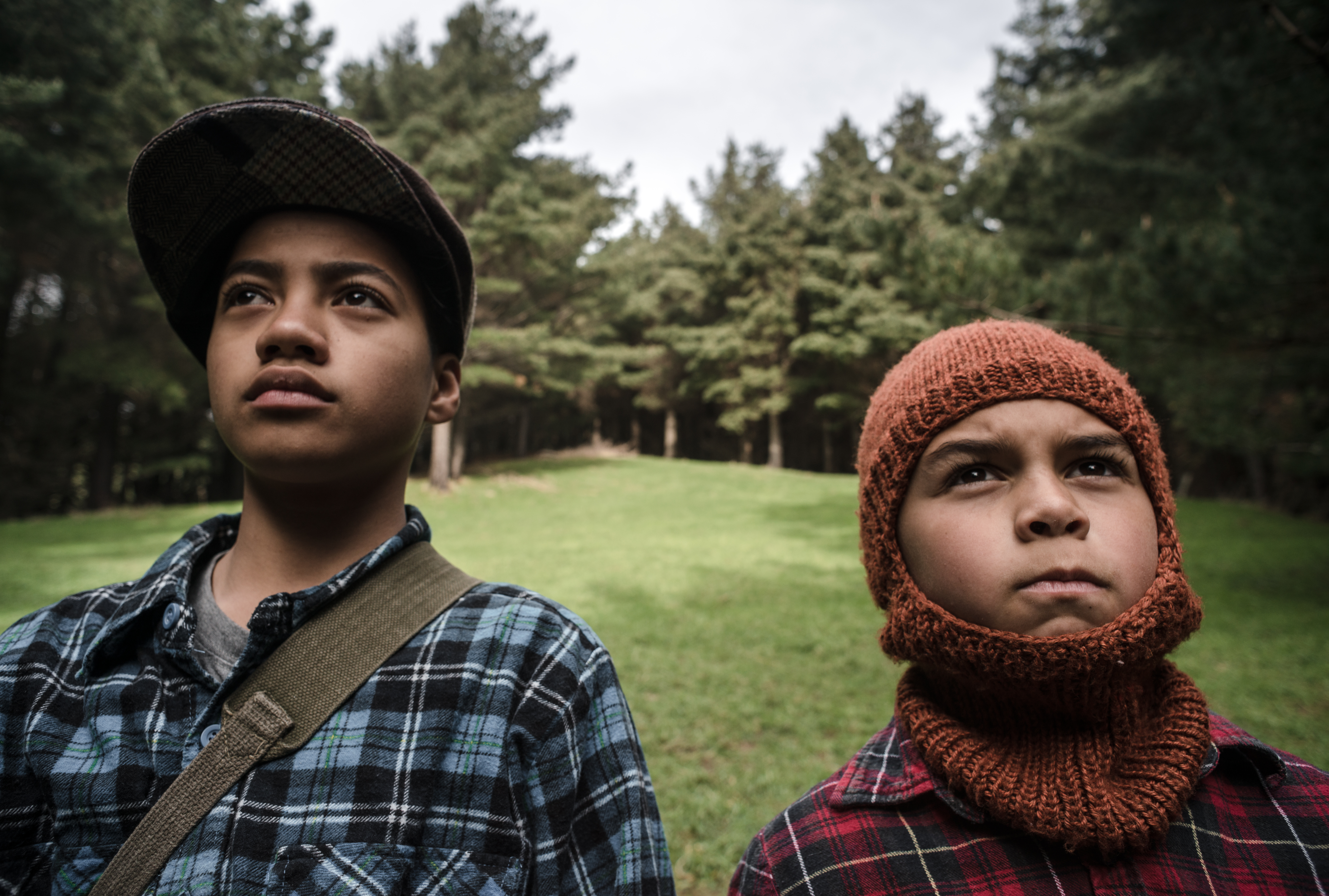 possum_possibleposter_2