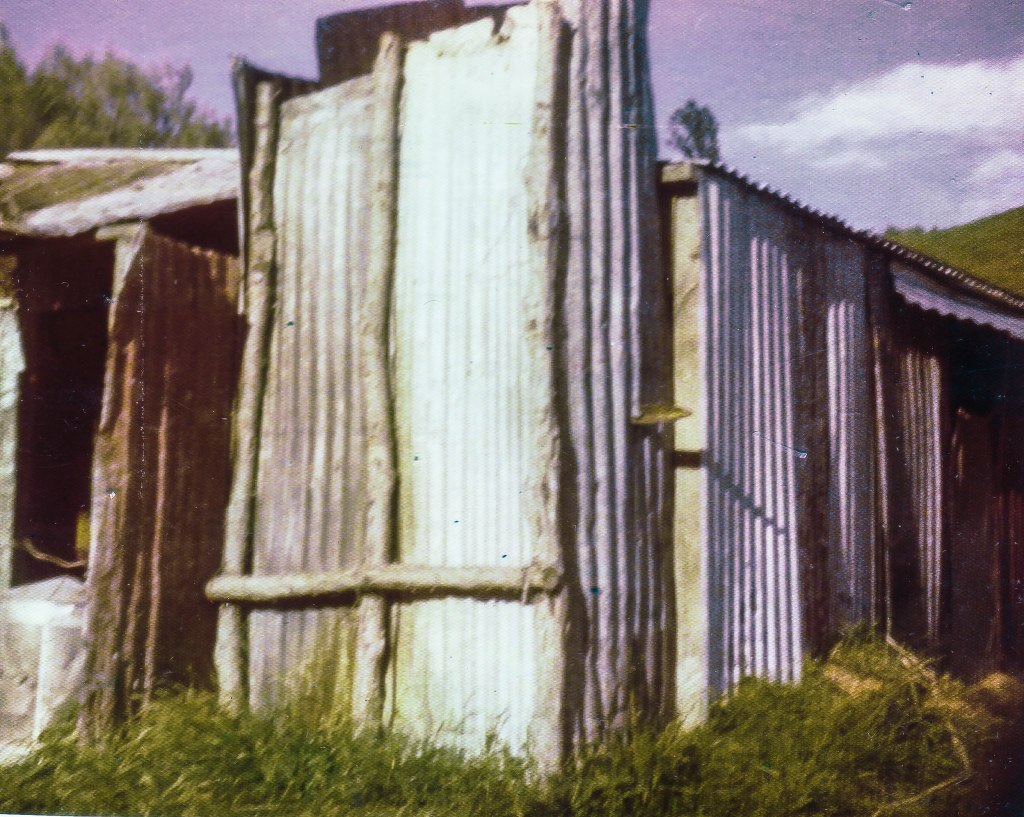 1-camp